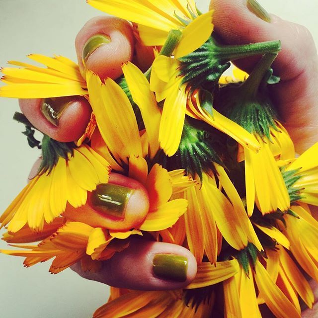 Instagram Photo Contest: "Spring in Napa Valley"